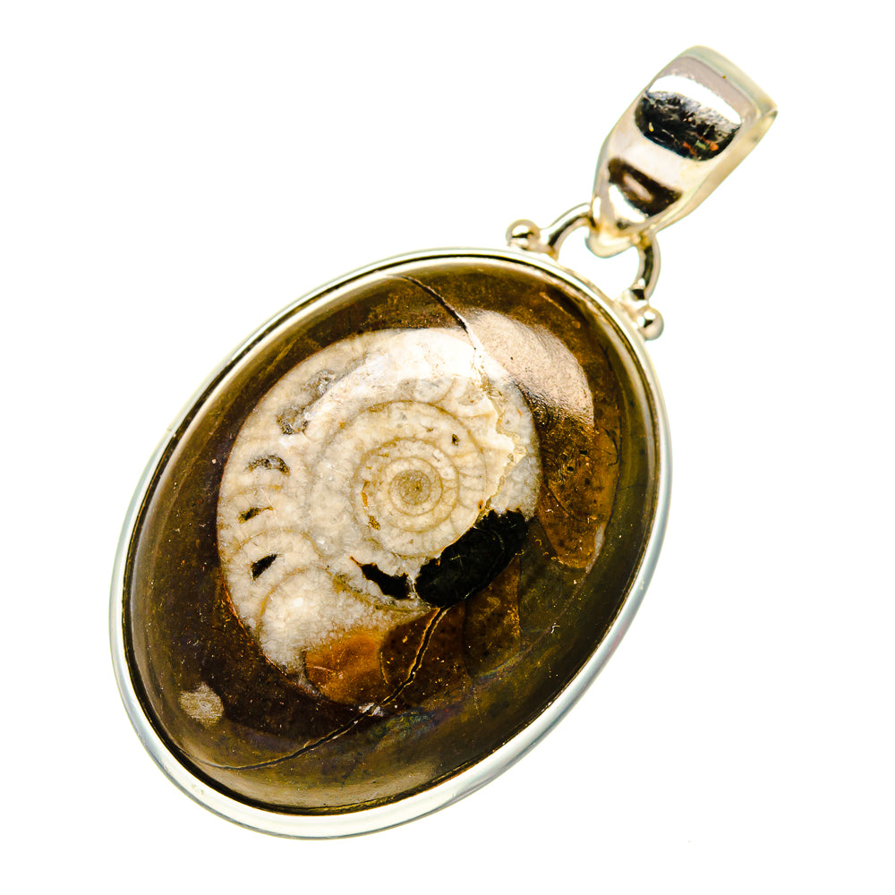 Orthoceras Fossil Pendants handcrafted by Ana Silver Co - PD743295