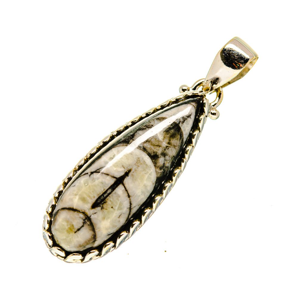 Teardrop fossil pendant with 925 sterling silver bezel and loop bail