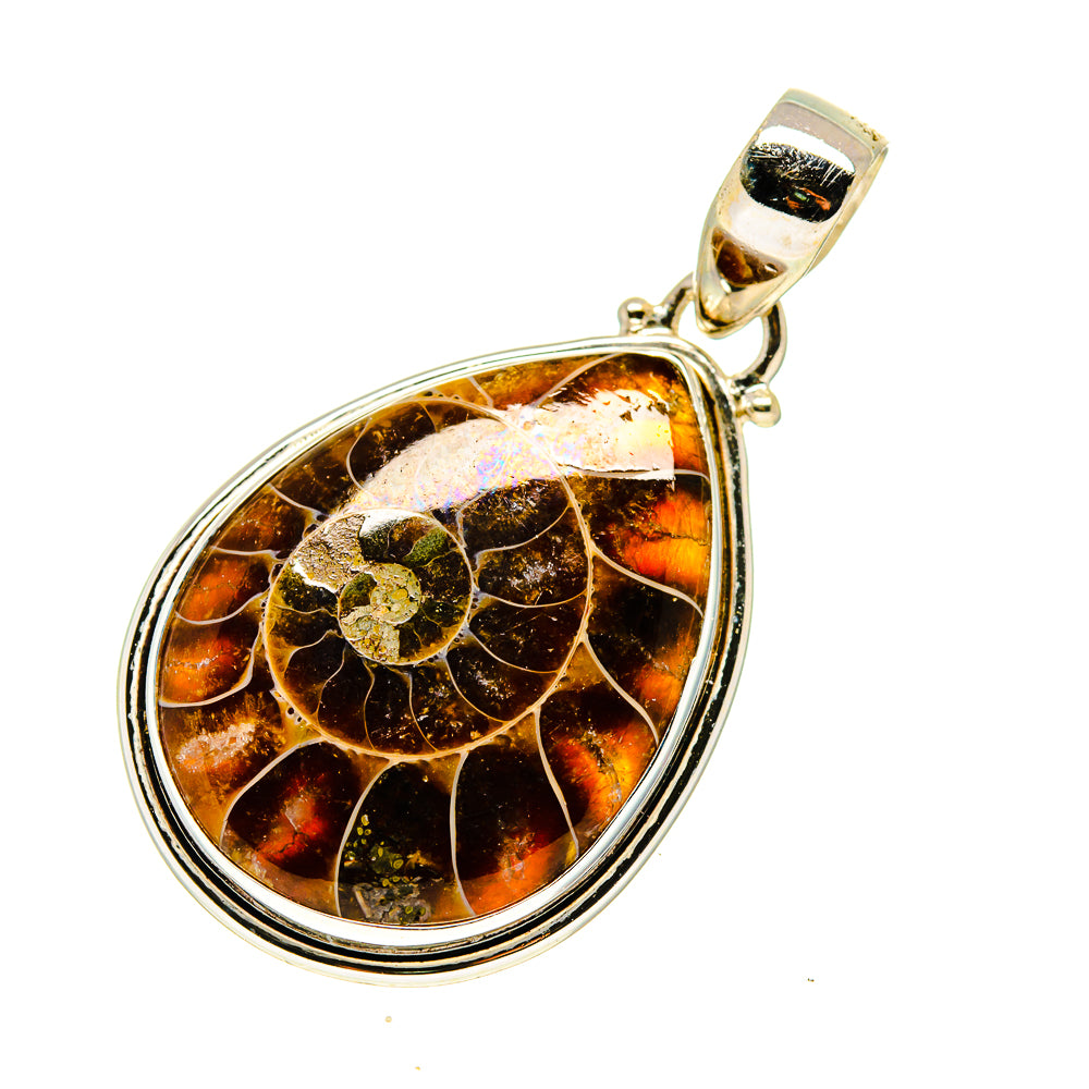 Ammonite Fossil Pendants handcrafted by Ana Silver Co - PD745569