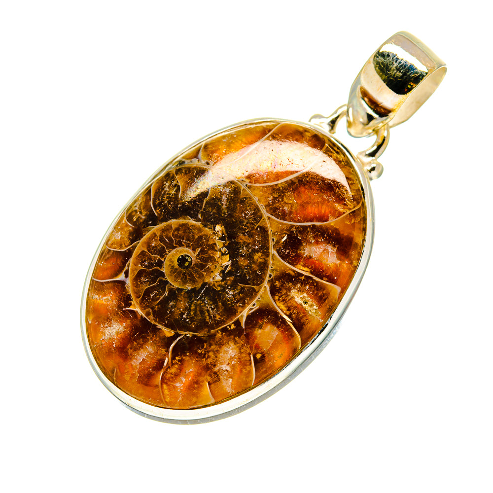 Ammonite Fossil Pendants handcrafted by Ana Silver Co - PD745702
