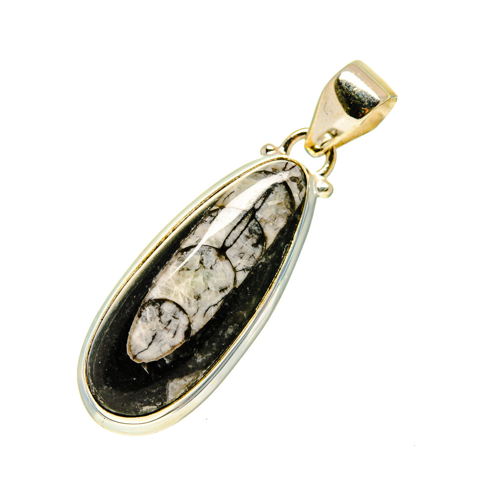 Orthoceras Fossil Pendants handcrafted by Ana Silver Co - PD746773