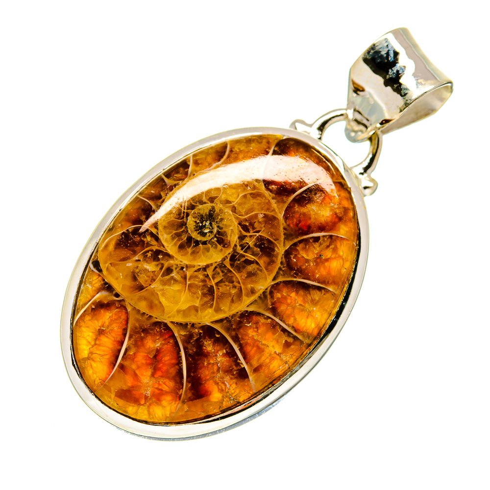 Ammonite Fossil Pendants handcrafted by Ana Silver Co - PD747762