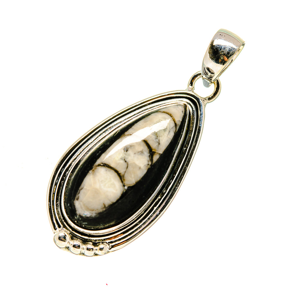 Orthoceras Fossil Pendants handcrafted by Ana Silver Co - PD748164
