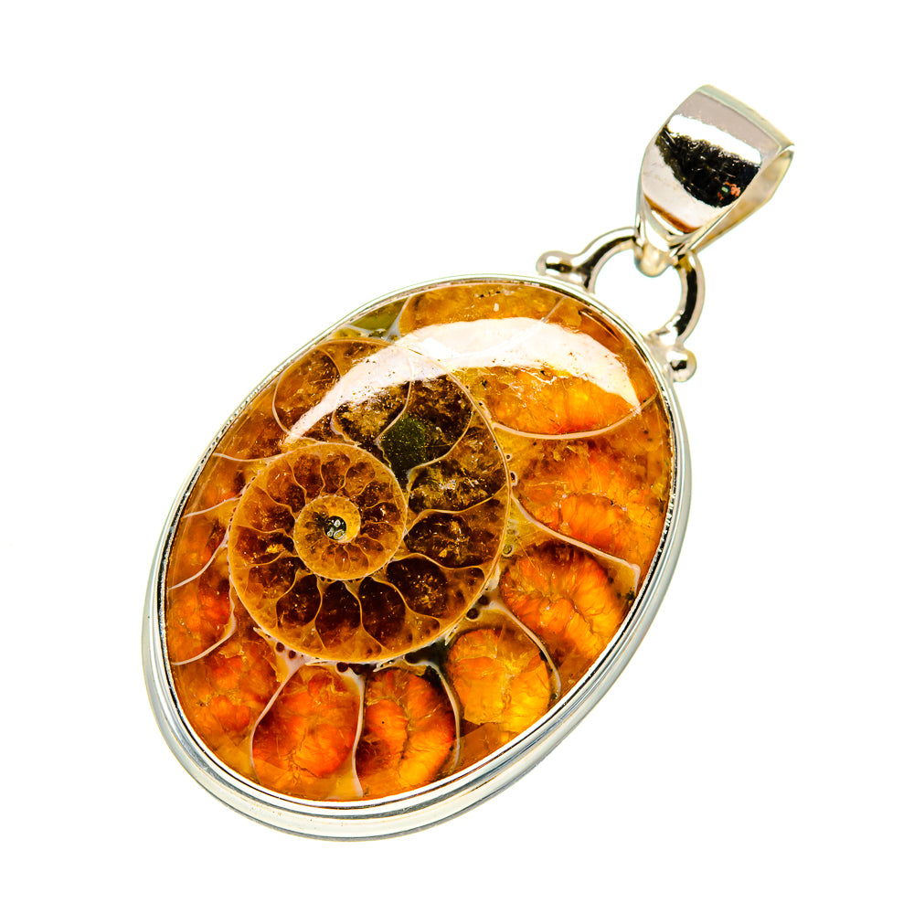 Ammonite Fossil Pendants handcrafted by Ana Silver Co - PD748686