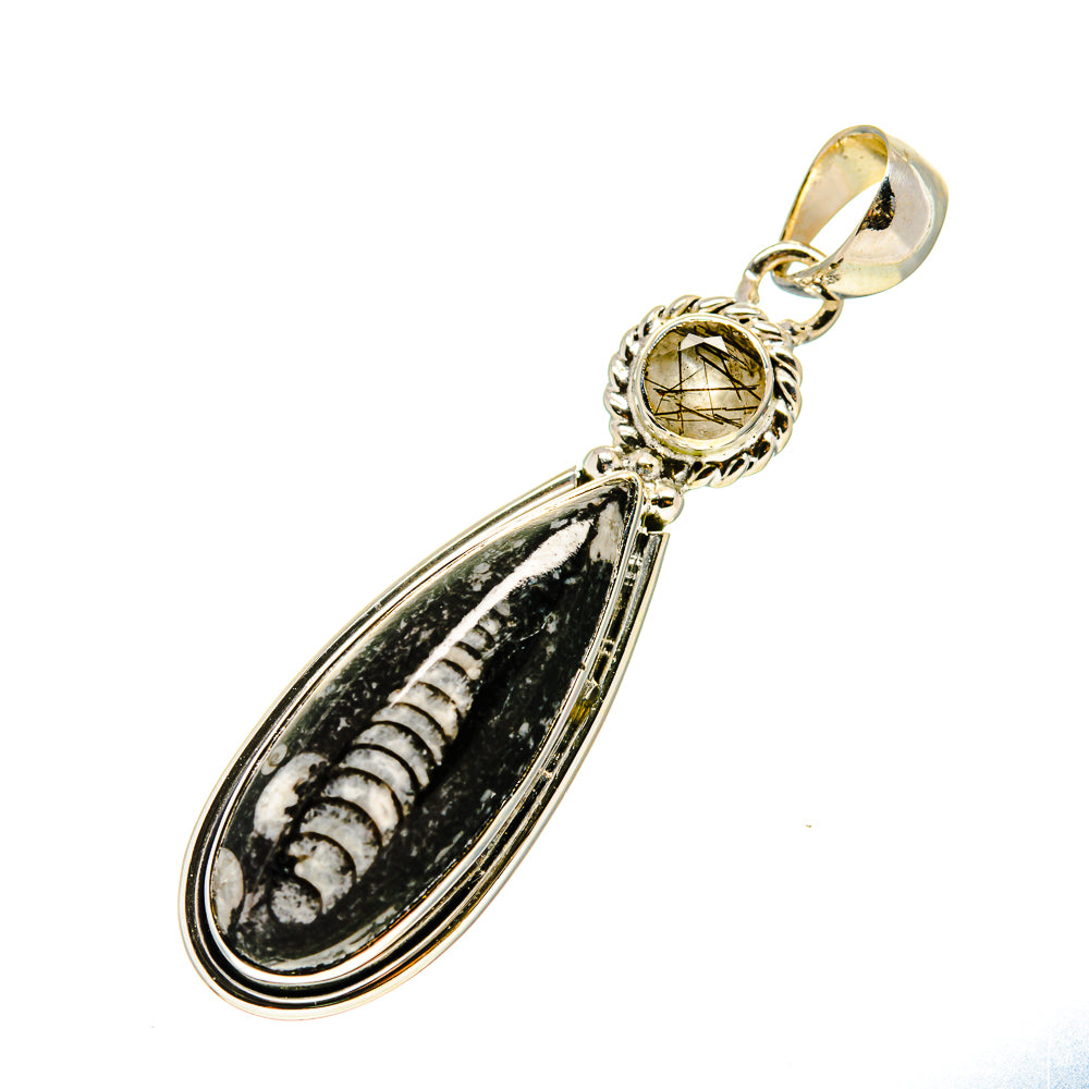 Orthoceras Fossil Pendants handcrafted by Ana Silver Co - PD750603