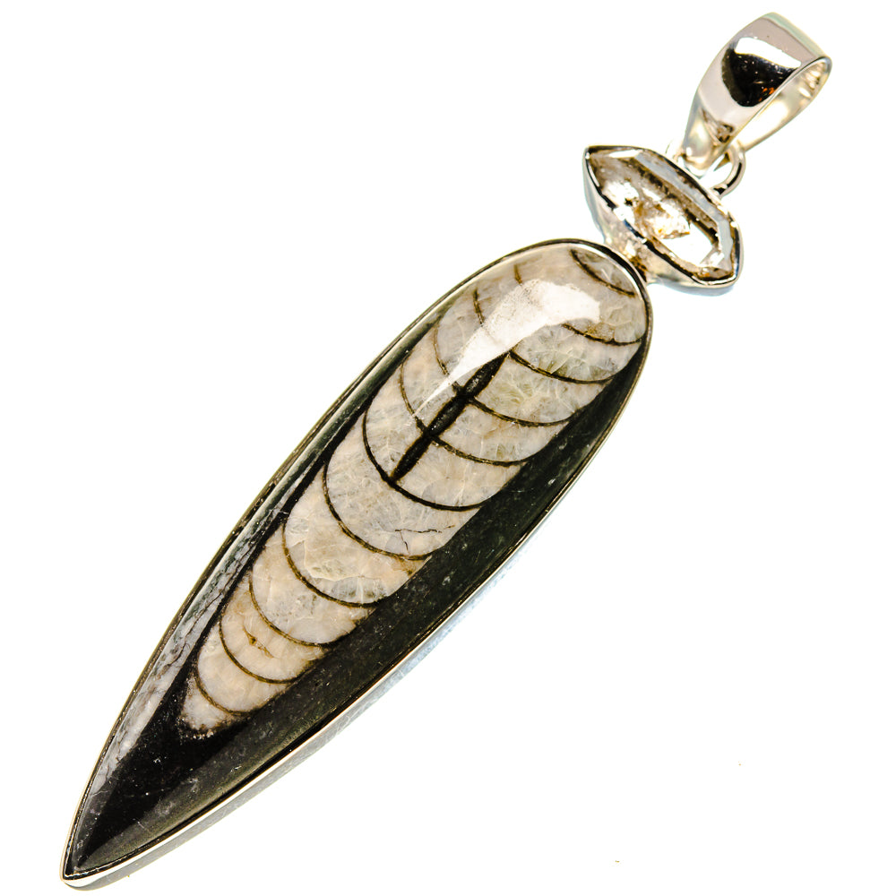 Orthoceras Fossil Pendants handcrafted by Ana Silver Co - PD755330