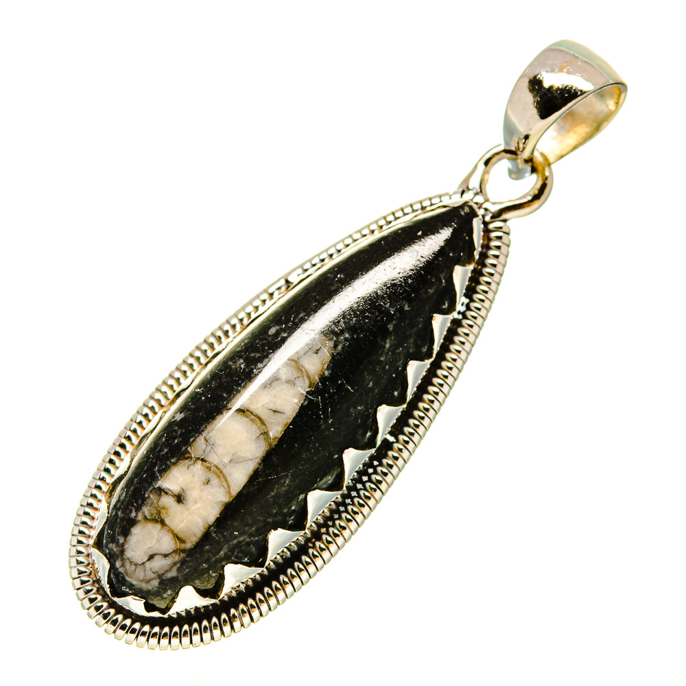 Orthoceras Fossil Pendants handcrafted by Ana Silver Co - PD755877