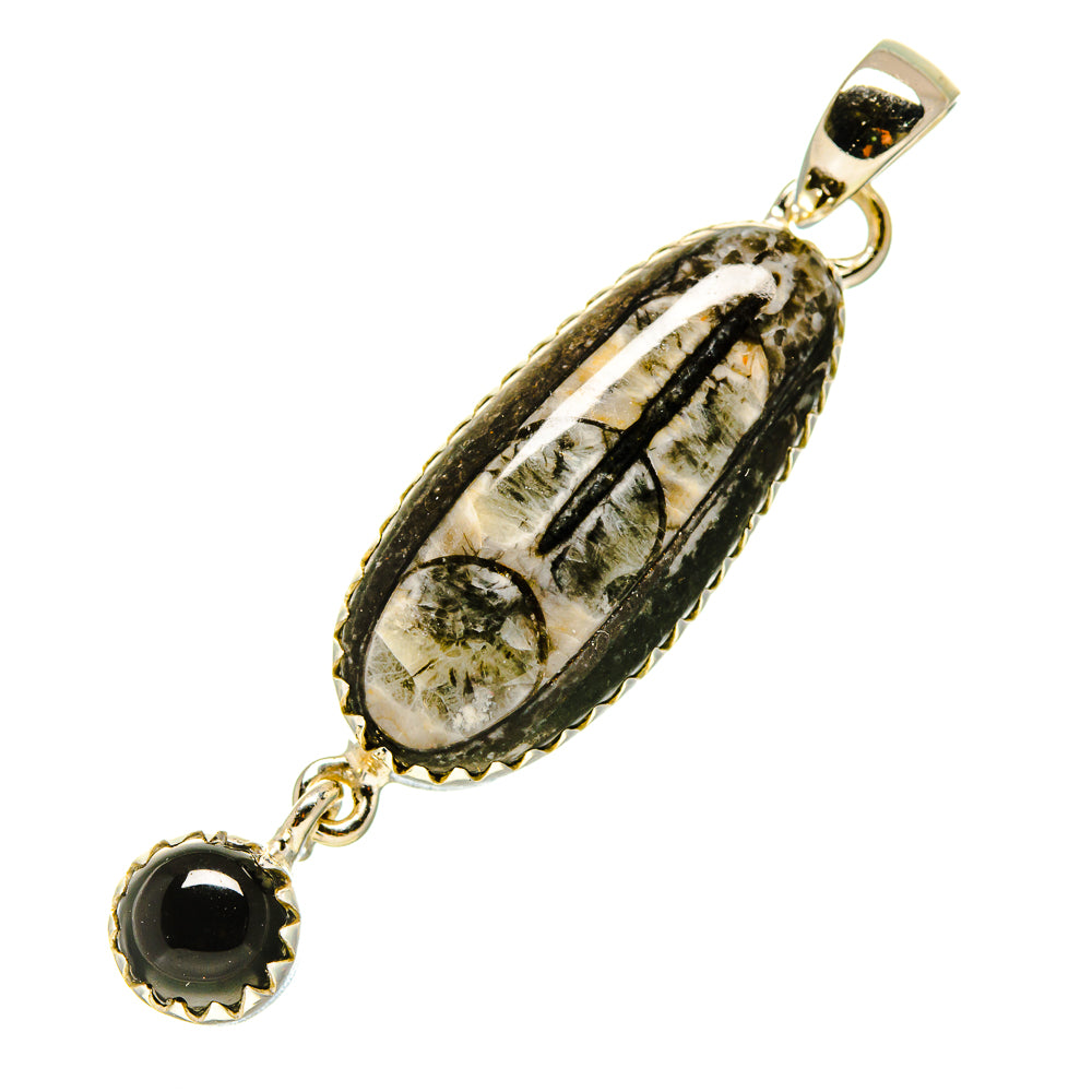 Orthoceras Fossil Pendants handcrafted by Ana Silver Co - PD756124
