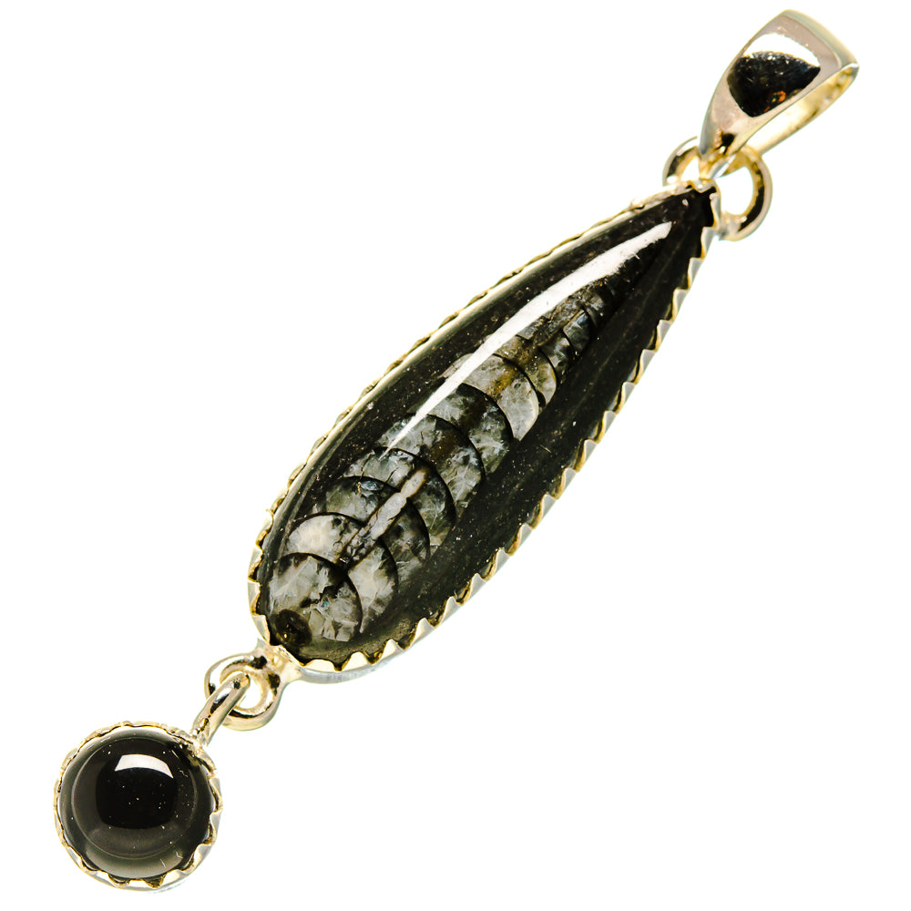 Orthoceras Fossil Pendants handcrafted by Ana Silver Co - PD756647