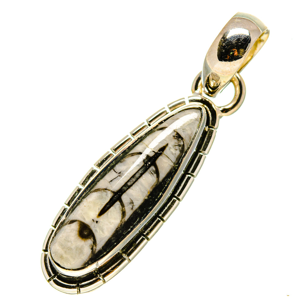 Orthoceras Fossil Pendants handcrafted by Ana Silver Co - PD756835