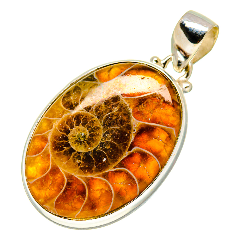 Ammonite Fossil Pendants handcrafted by Ana Silver Co - PD757076