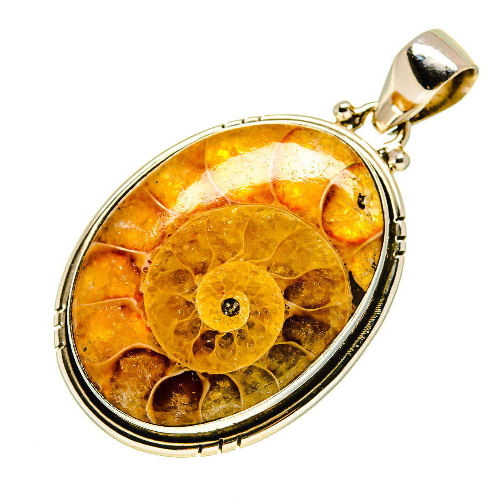 Ammonite Fossil Pendants handcrafted by Ana Silver Co - PD757096