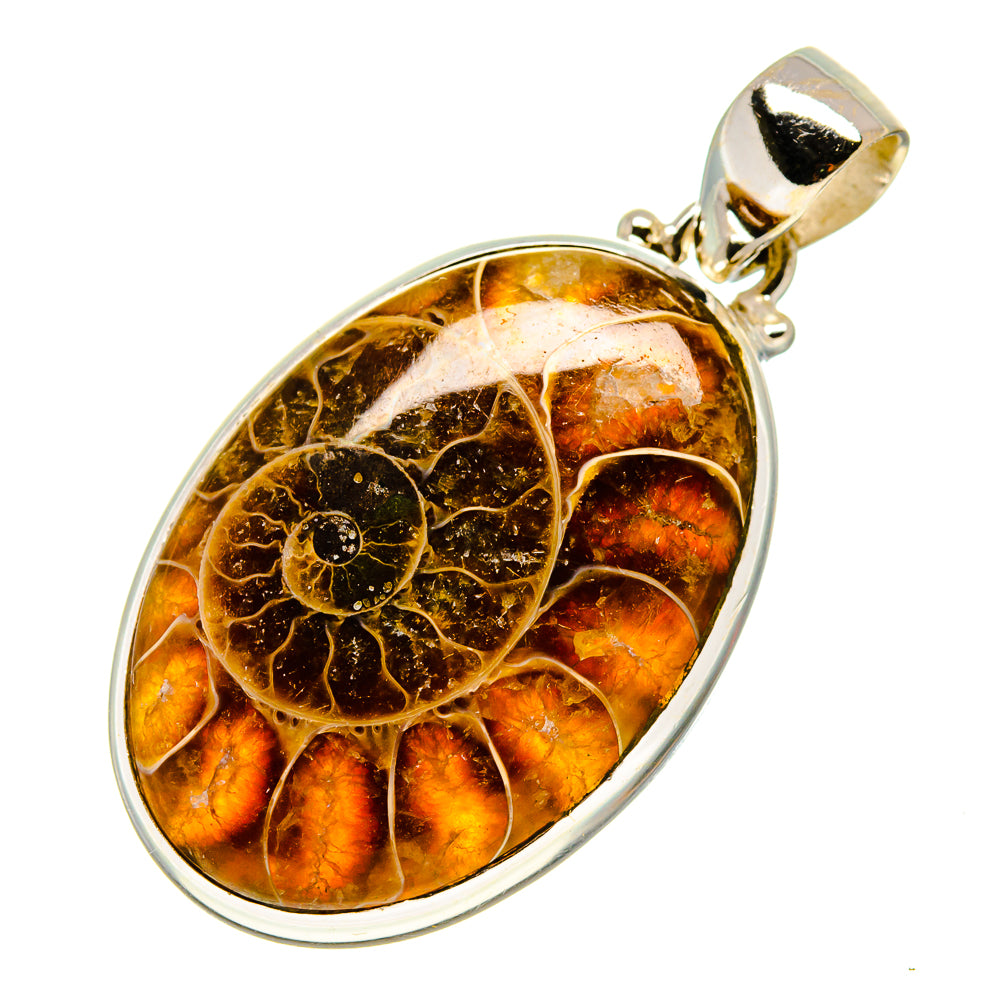 Ammonite fossil pendant in oval sterling silver frame with amber-brown fossil detail