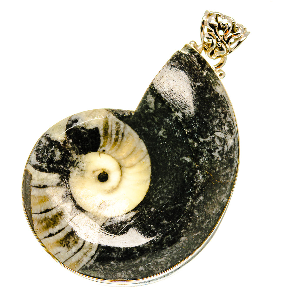 Orthoceras Fossil Pendants handcrafted by Ana Silver Co - PD760016