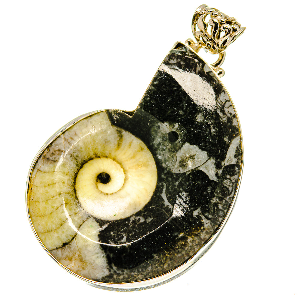 Orthoceras Fossil Pendants handcrafted by Ana Silver Co - PD760148