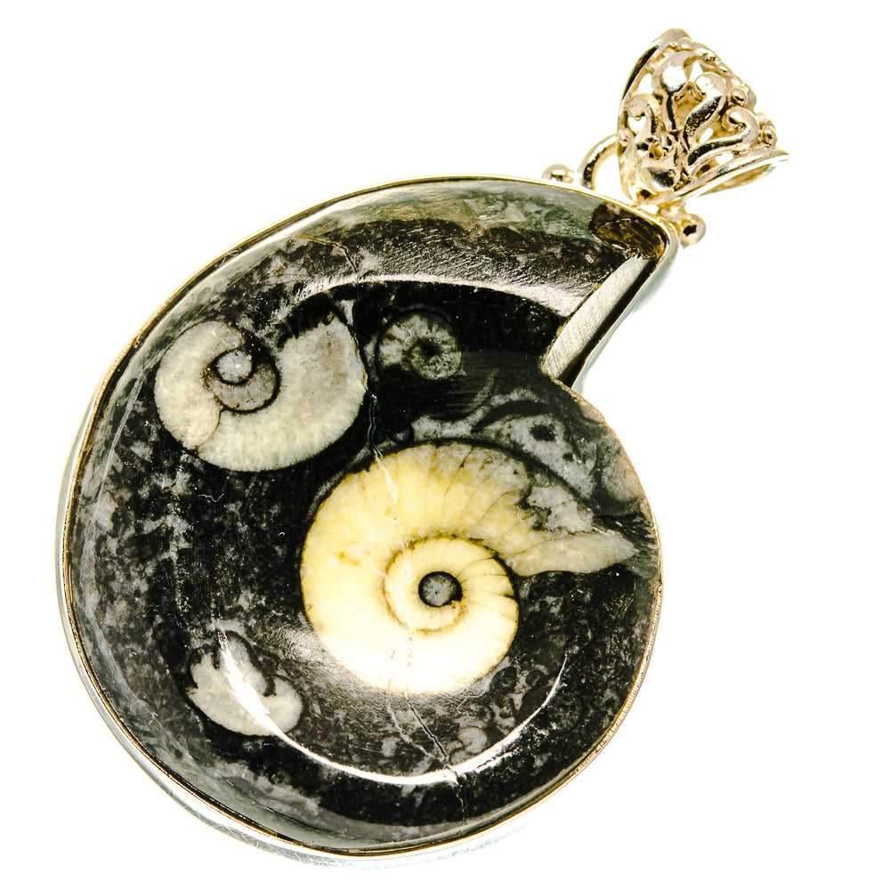 Orthoceras Fossil Pendants handcrafted by Ana Silver Co - PD760657