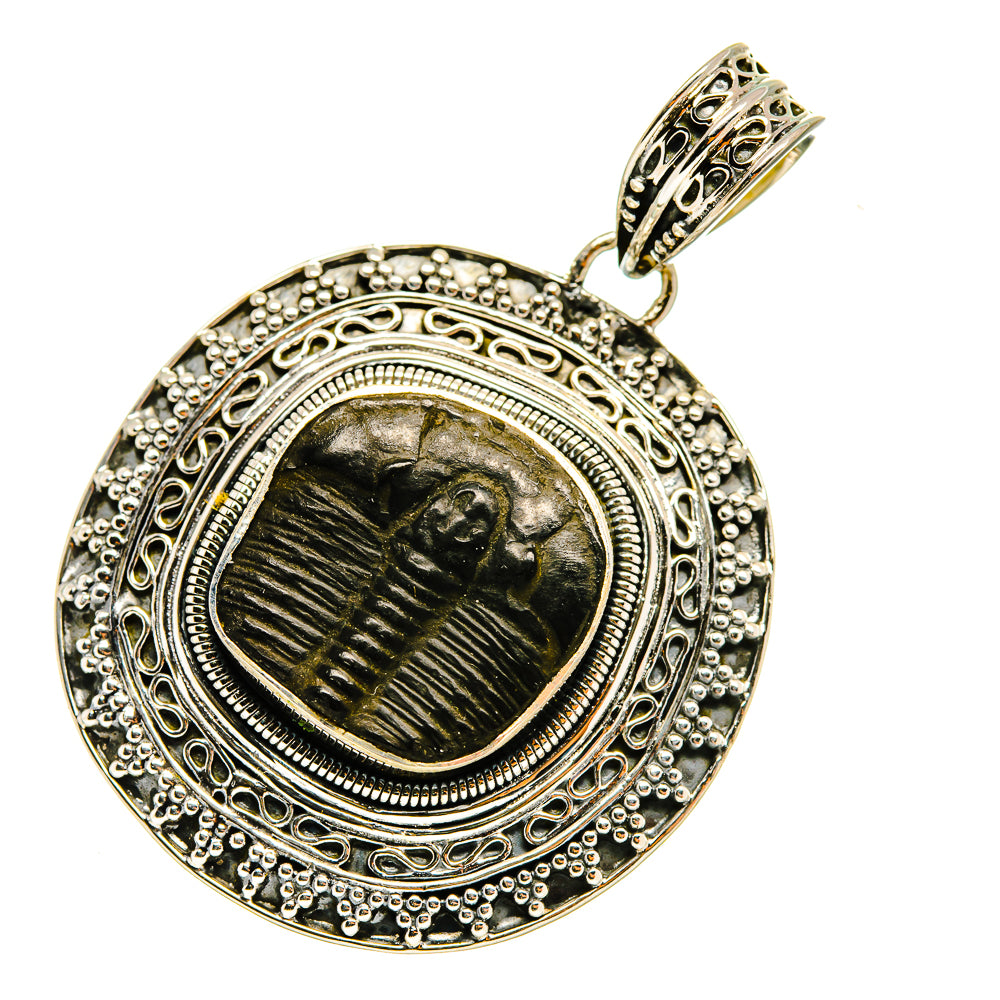 Trilobite Pendants handcrafted by Ana Silver Co - PD8191