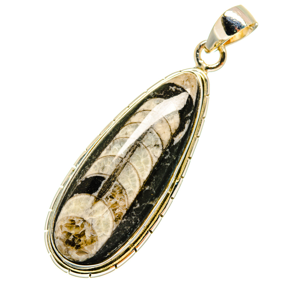 Orthoceras Fossil Pendants handcrafted by Ana Silver Co - PD8759