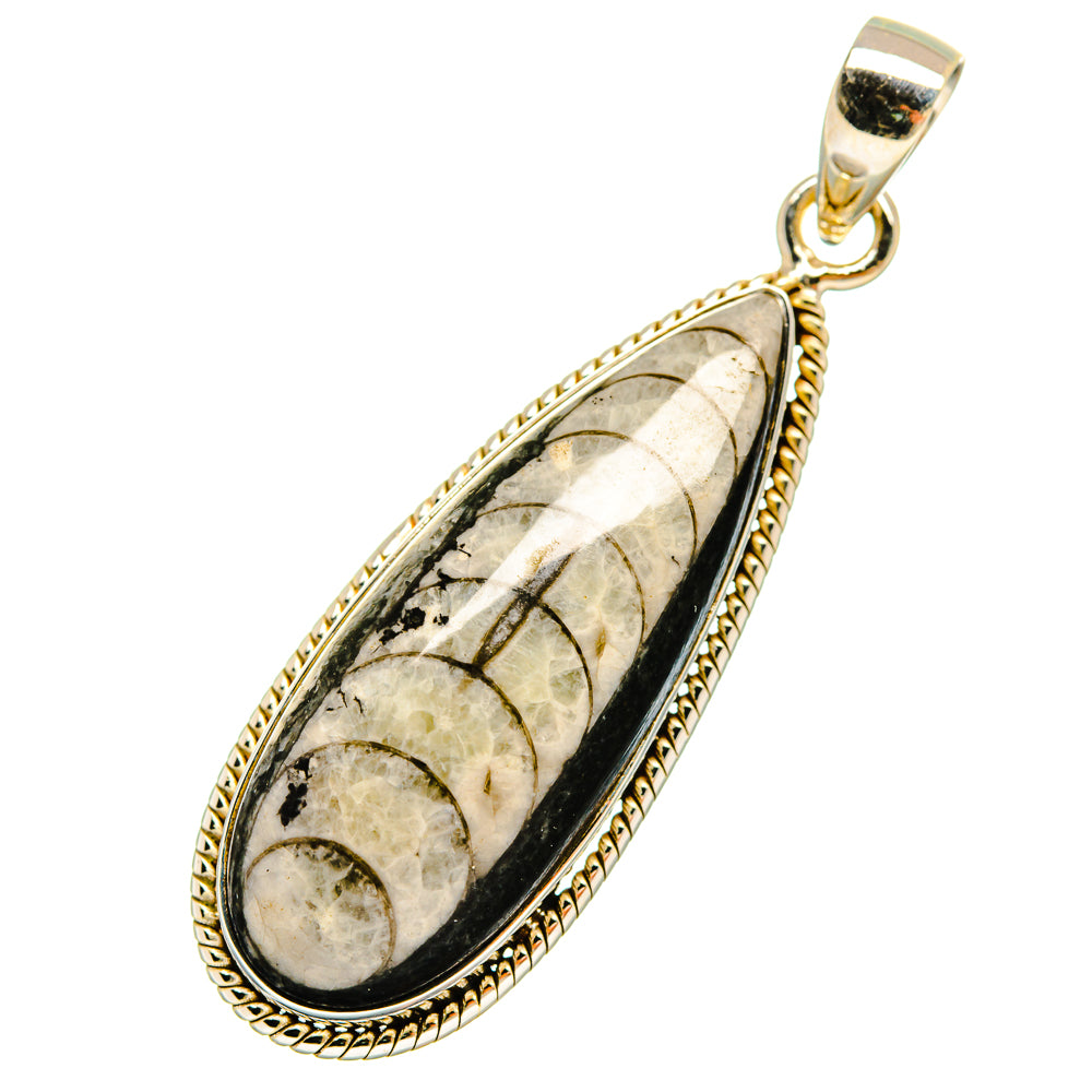 Orthoceras Fossil Pendants handcrafted by Ana Silver Co - PD8760