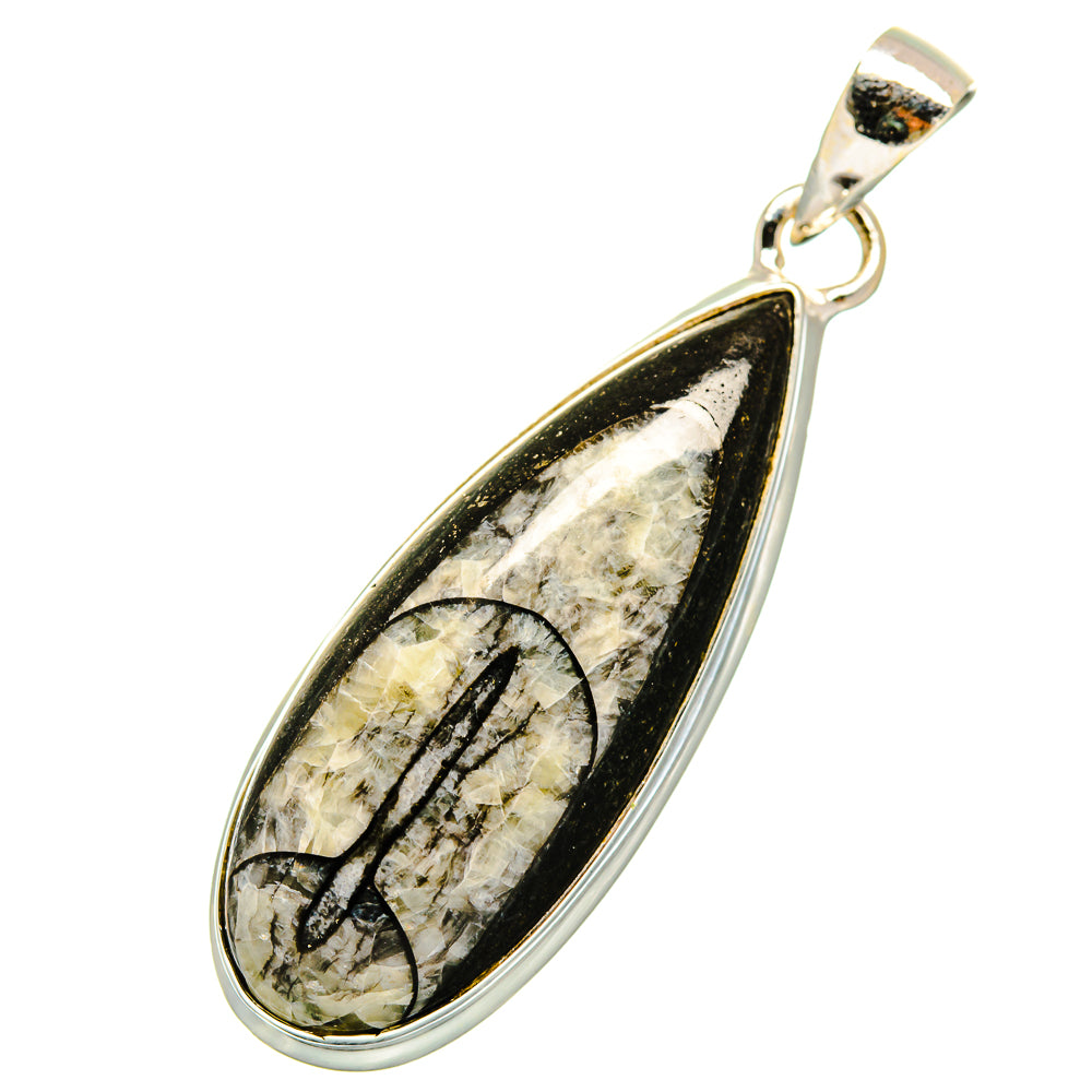 Orthoceras Fossil Pendants handcrafted by Ana Silver Co - PD8935