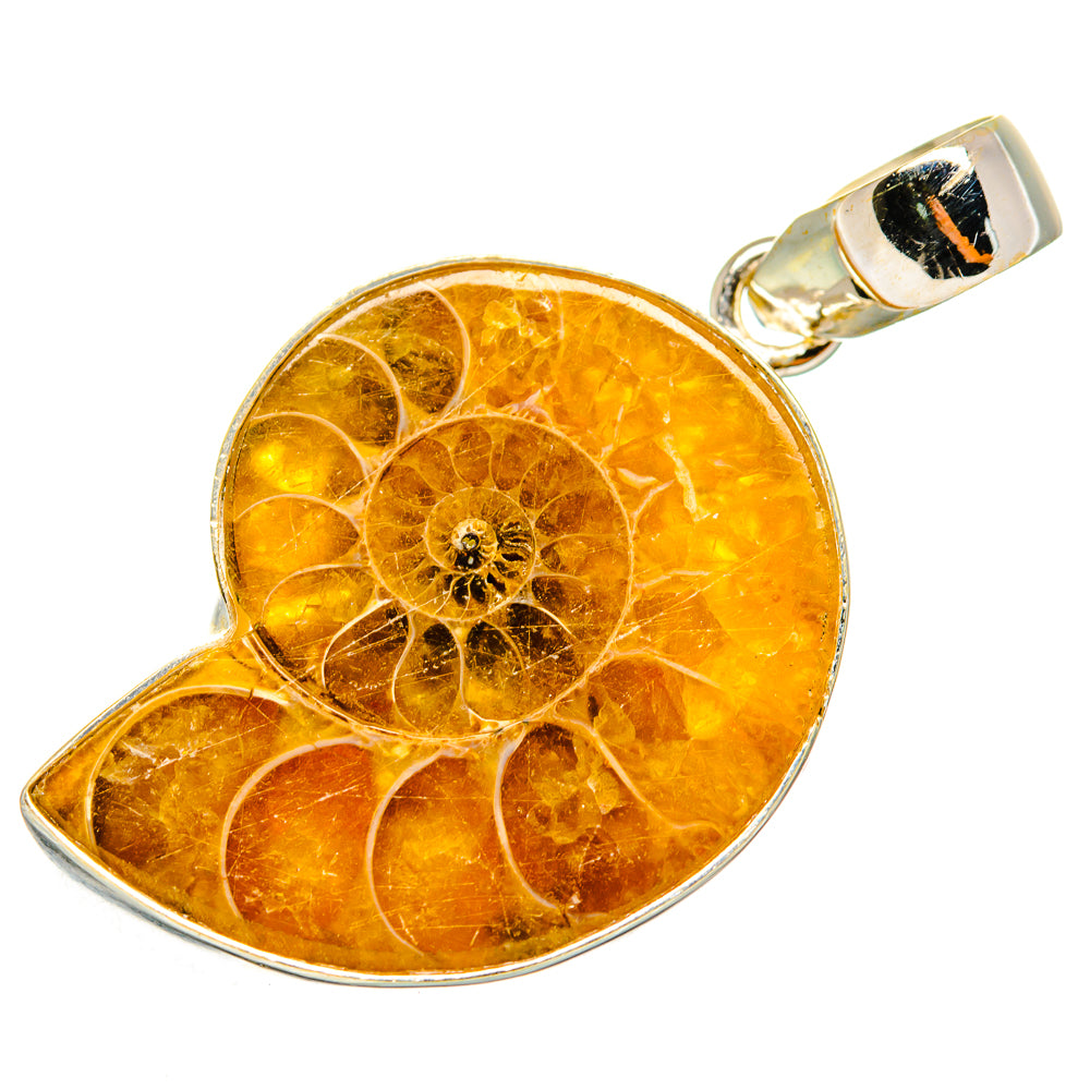 Ammonite Fossil Pendants handcrafted by Ana Silver Co - PD9249