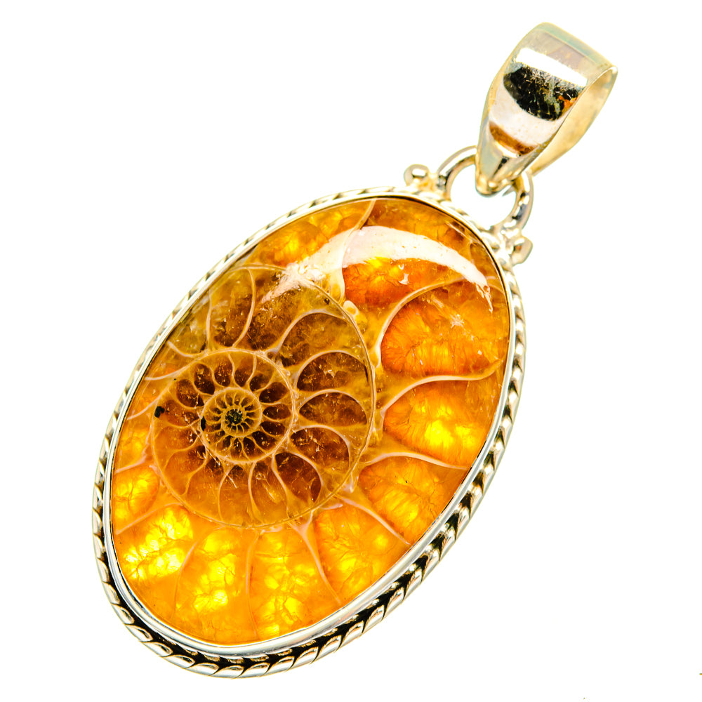 Ammonite Fossil Pendants handcrafted by Ana Silver Co - PD9806