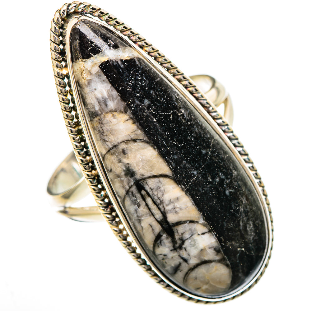 925 sterling silver orthoceras fossil ring with oval black-and-cream stone bezel