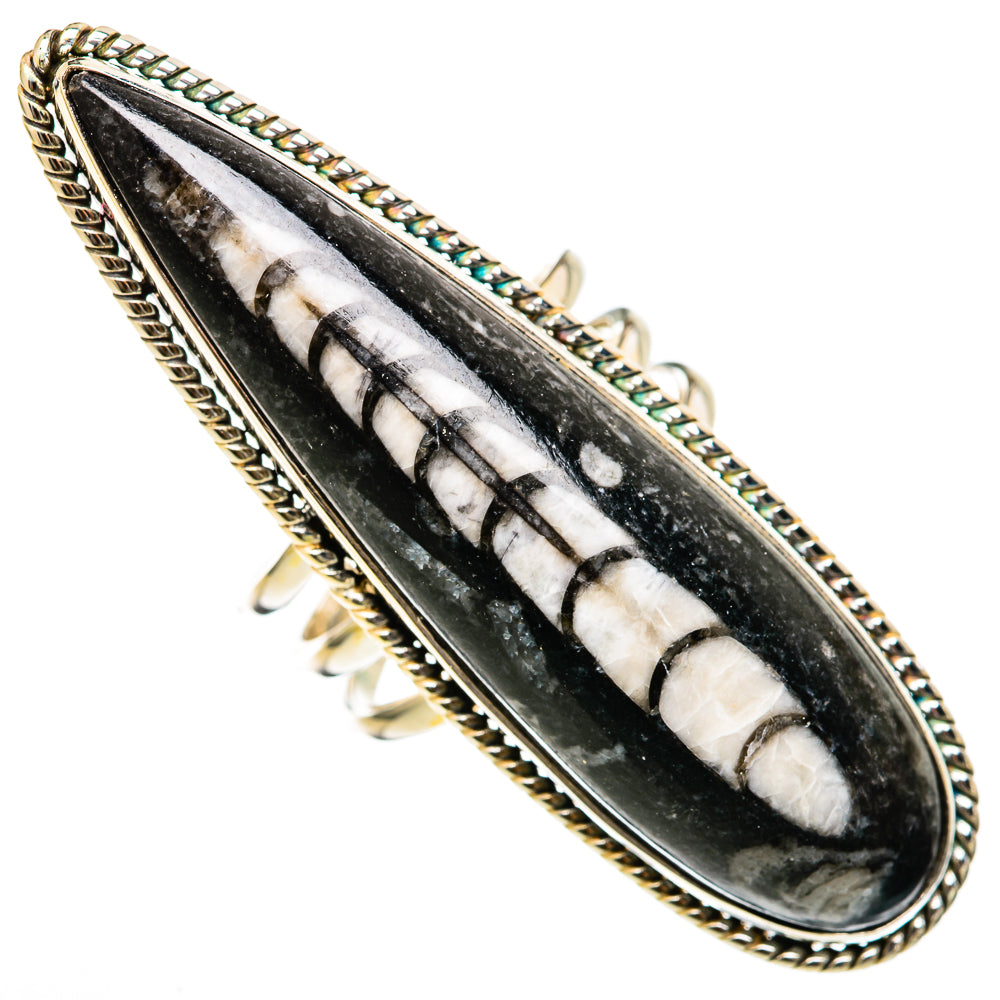 Orthoceras Fossil Rings handcrafted by Ana Silver Co - RING103423