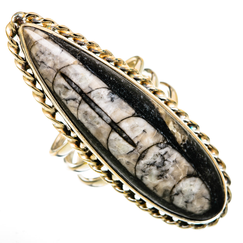 Orthoceras Fossil Rings handcrafted by Ana Silver Co - RING103929 - Photo 2