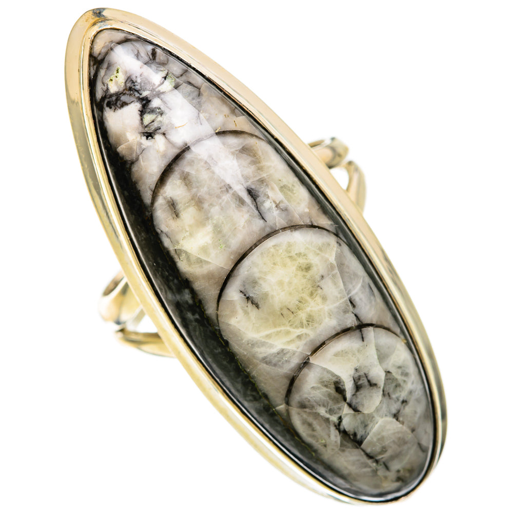 Orthoceras Fossil Rings handcrafted by Ana Silver Co - RING104043 - Photo 2