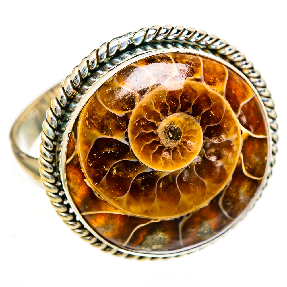 Ammonite Fossil Rings handcrafted by Ana Silver Co - RING110975 - Photo 2