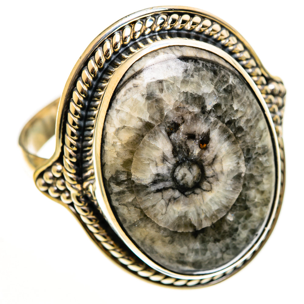 Moroccan Goniatite Fossil Rings handcrafted by Ana Silver Co - RING112828 - Photo 2
