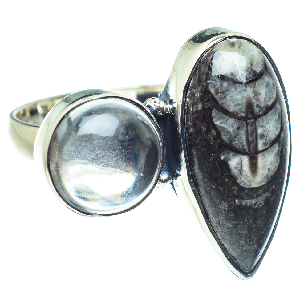 Orthoceras Fossil Rings handcrafted by Ana Silver Co - RING58878