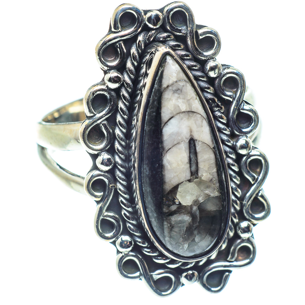 Orthoceras Fossil Rings handcrafted by Ana Silver Co - RING59639