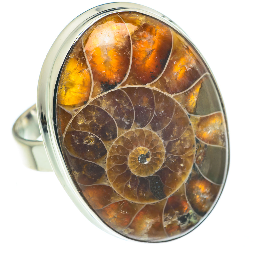 Ammonite Fossil Rings handcrafted by Ana Silver Co - RING62271
