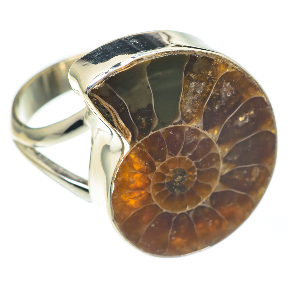 Ammonite Fossil Rings handcrafted by Ana Silver Co - RING67682