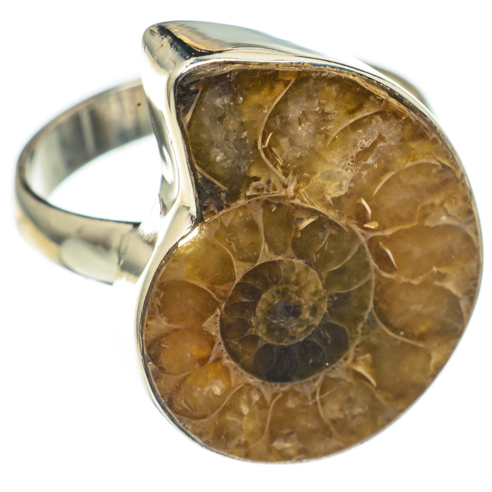 Ammonite Fossil Rings handcrafted by Ana Silver Co - RING68513