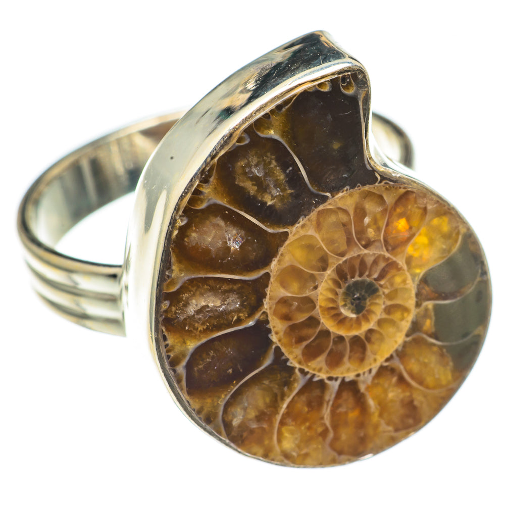 Ammonite Fossil Rings handcrafted by Ana Silver Co - RING68599