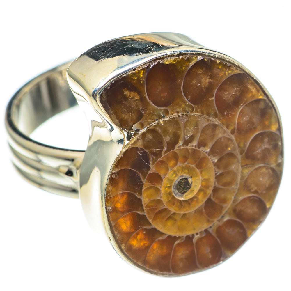 Ammonite Fossil Rings handcrafted by Ana Silver Co - RING69070