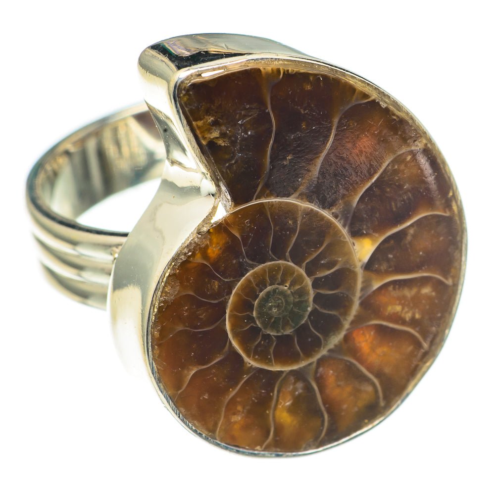 Ammonite Fossil Rings handcrafted by Ana Silver Co - RING69239