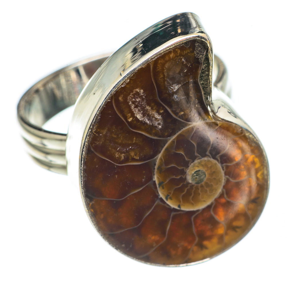 Ammonite Fossil Rings handcrafted by Ana Silver Co - RING69926