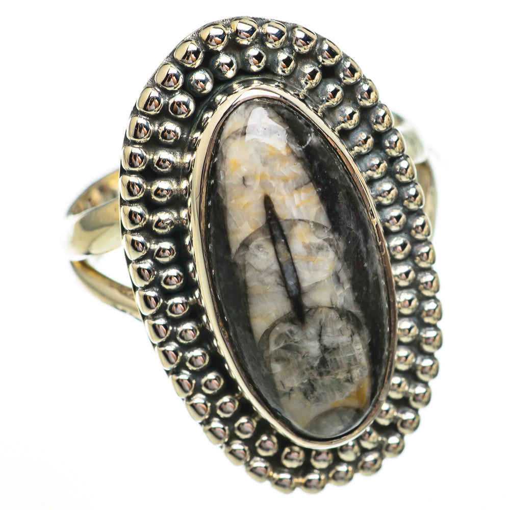 Sterling silver oval fossil ring with raised beaded bezel and oval cabochon stone