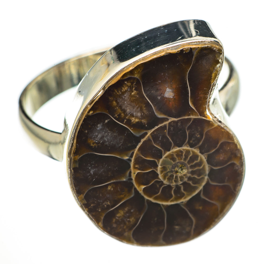 Ammonite Fossil Rings handcrafted by Ana Silver Co - RING70617
