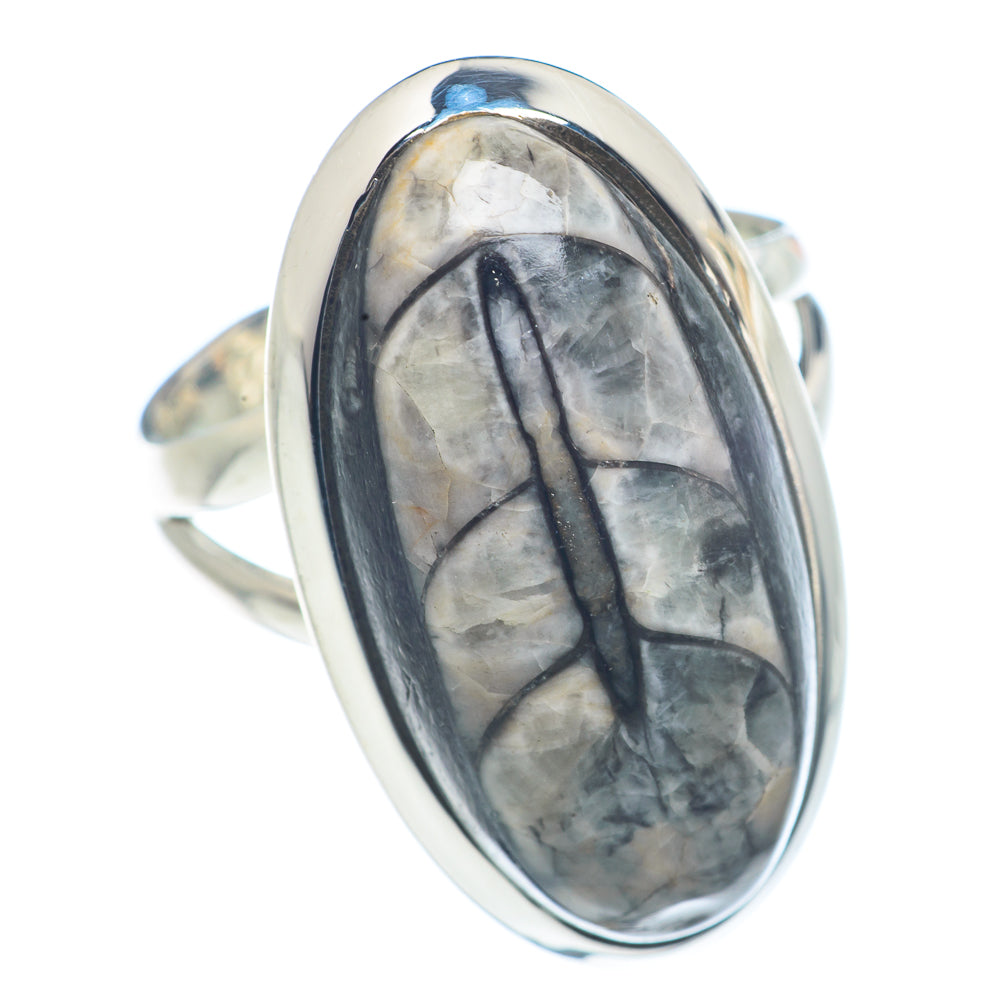 Orthoceras Fossil Rings handcrafted by Ana Silver Co - RING71849