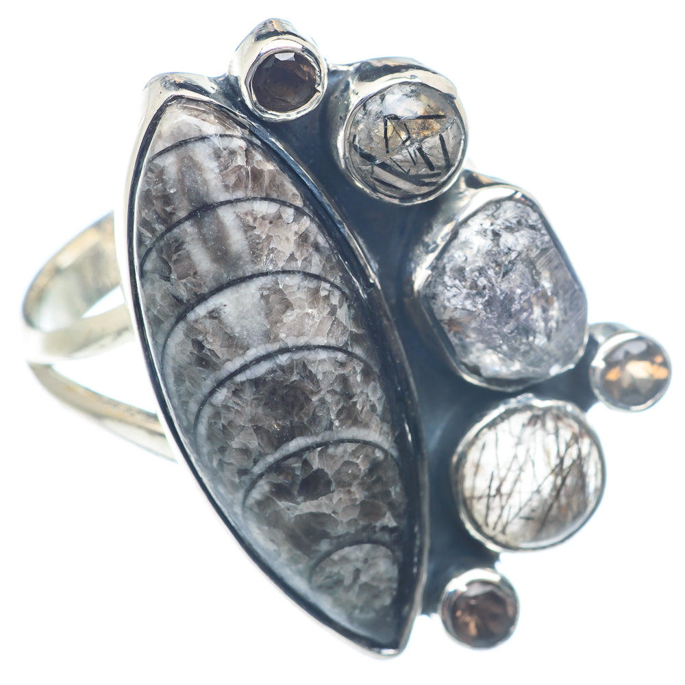 Orthoceras Fossi Rings handcrafted by Ana Silver Co - RING72064
