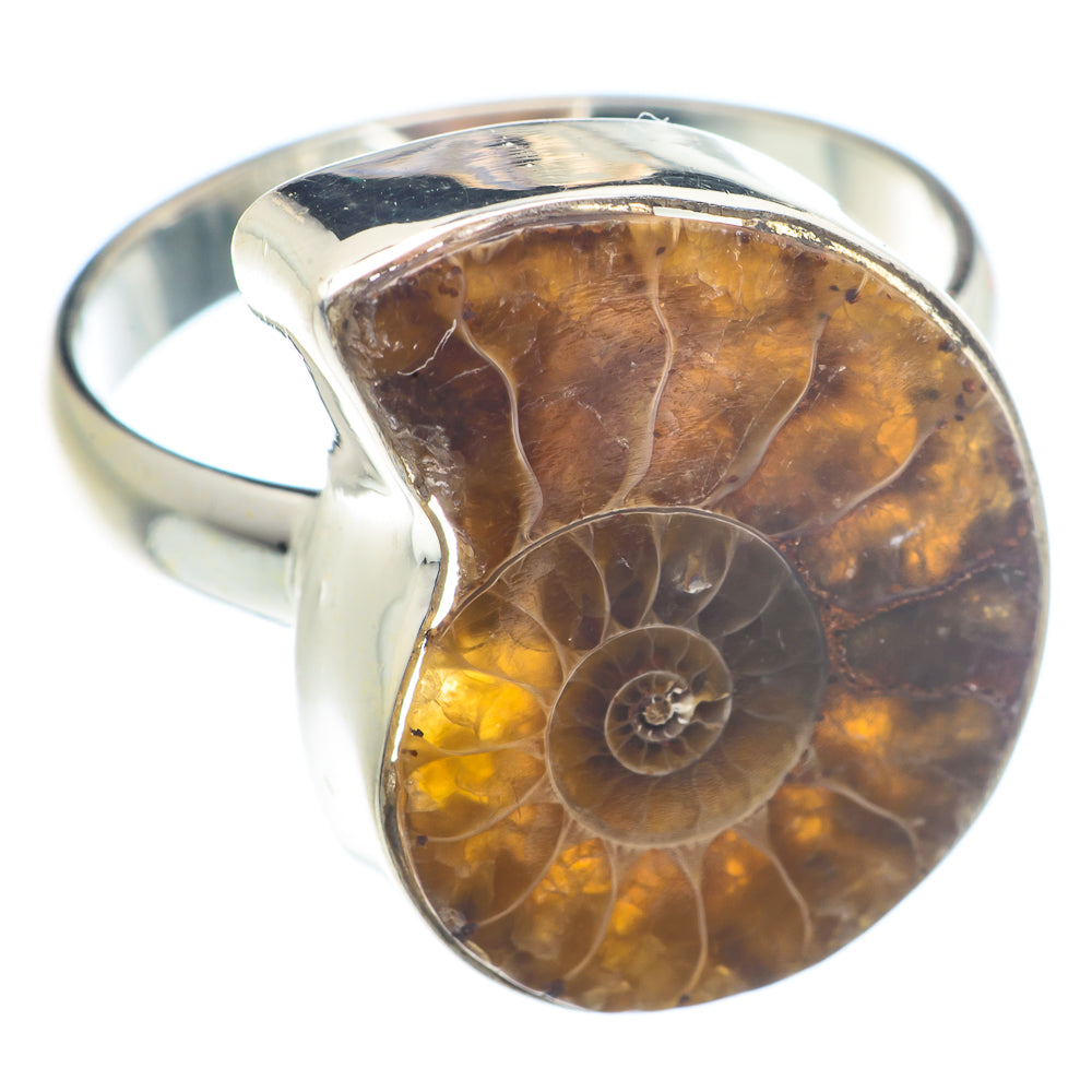 Ammonite Fossil Rings handcrafted by Ana Silver Co - RING72566