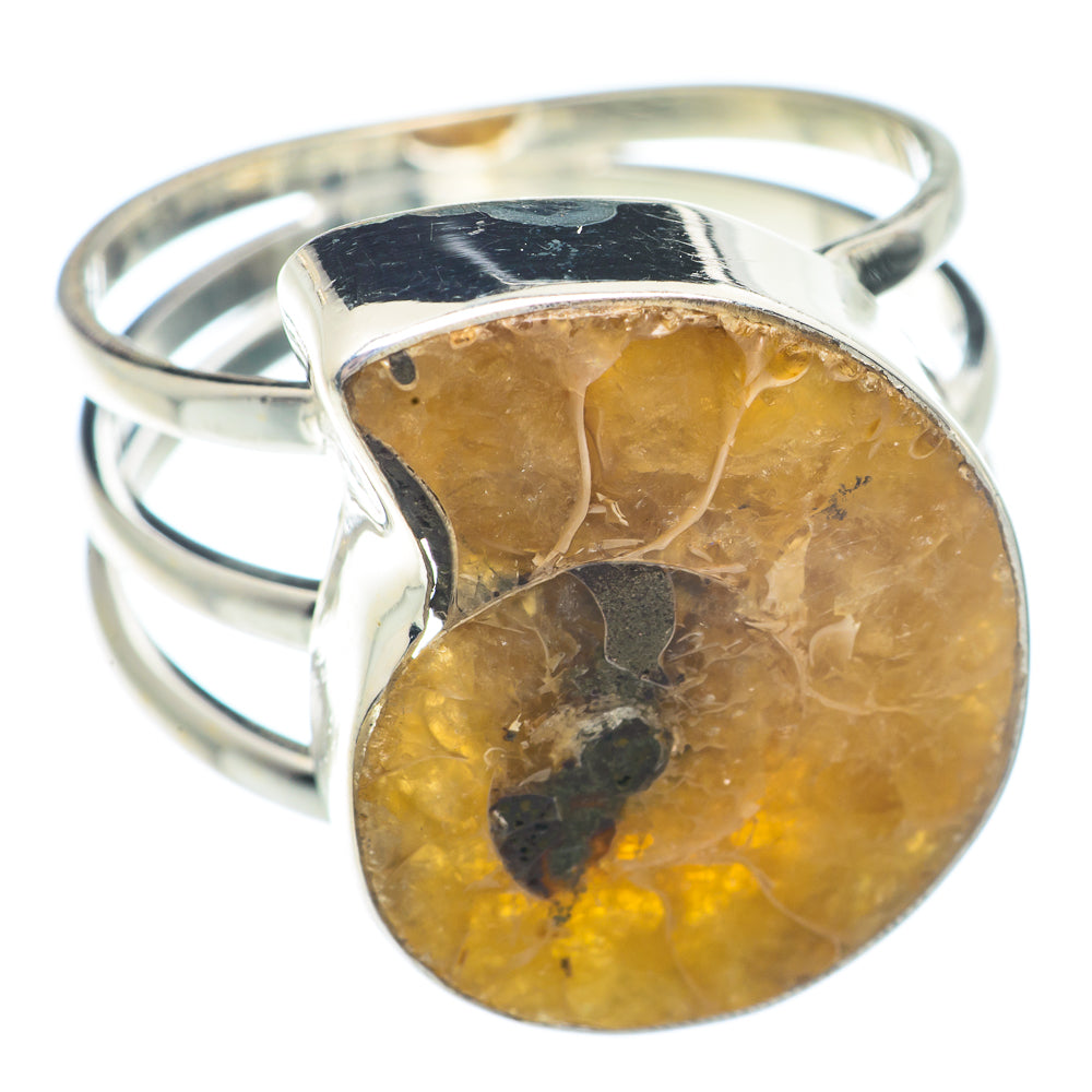 Ammonite Fossil Rings handcrafted by Ana Silver Co - RING73065
