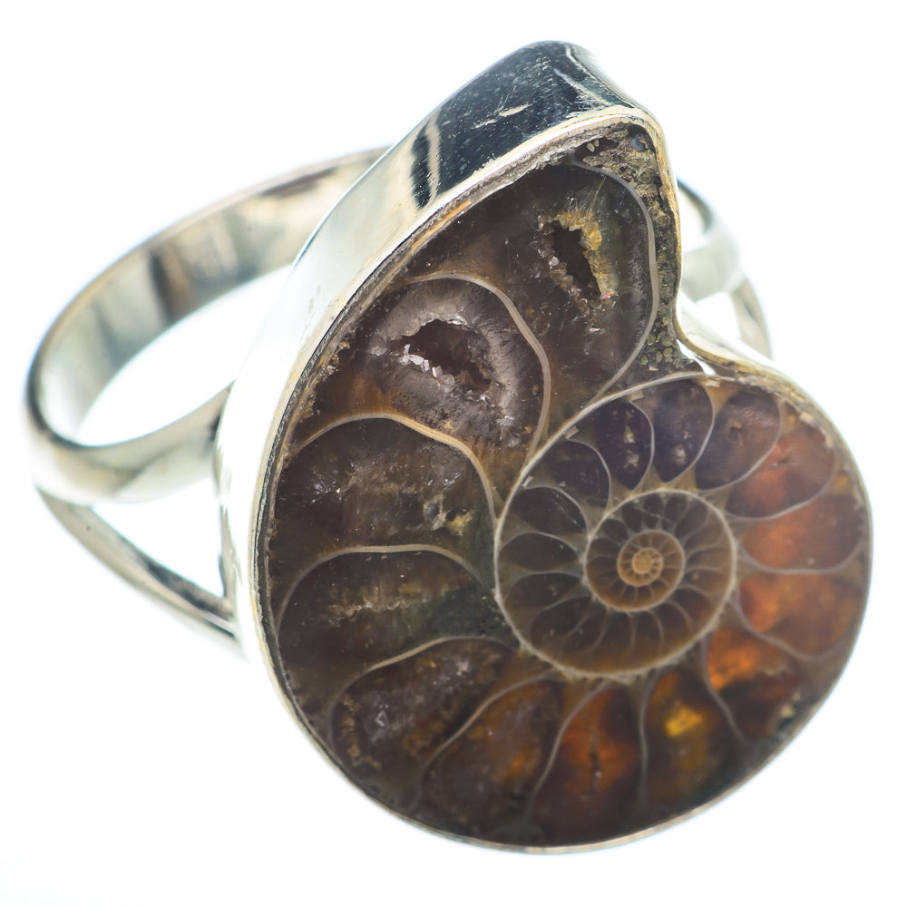 Ammonite Fossil Rings handcrafted by Ana Silver Co - RING73460