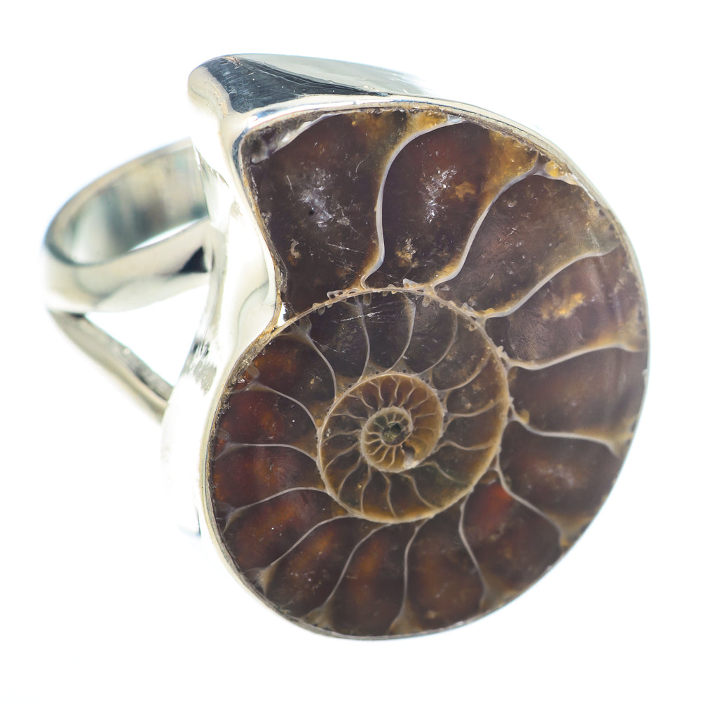Ammonite Fossil Rings handcrafted by Ana Silver Co - RING73634