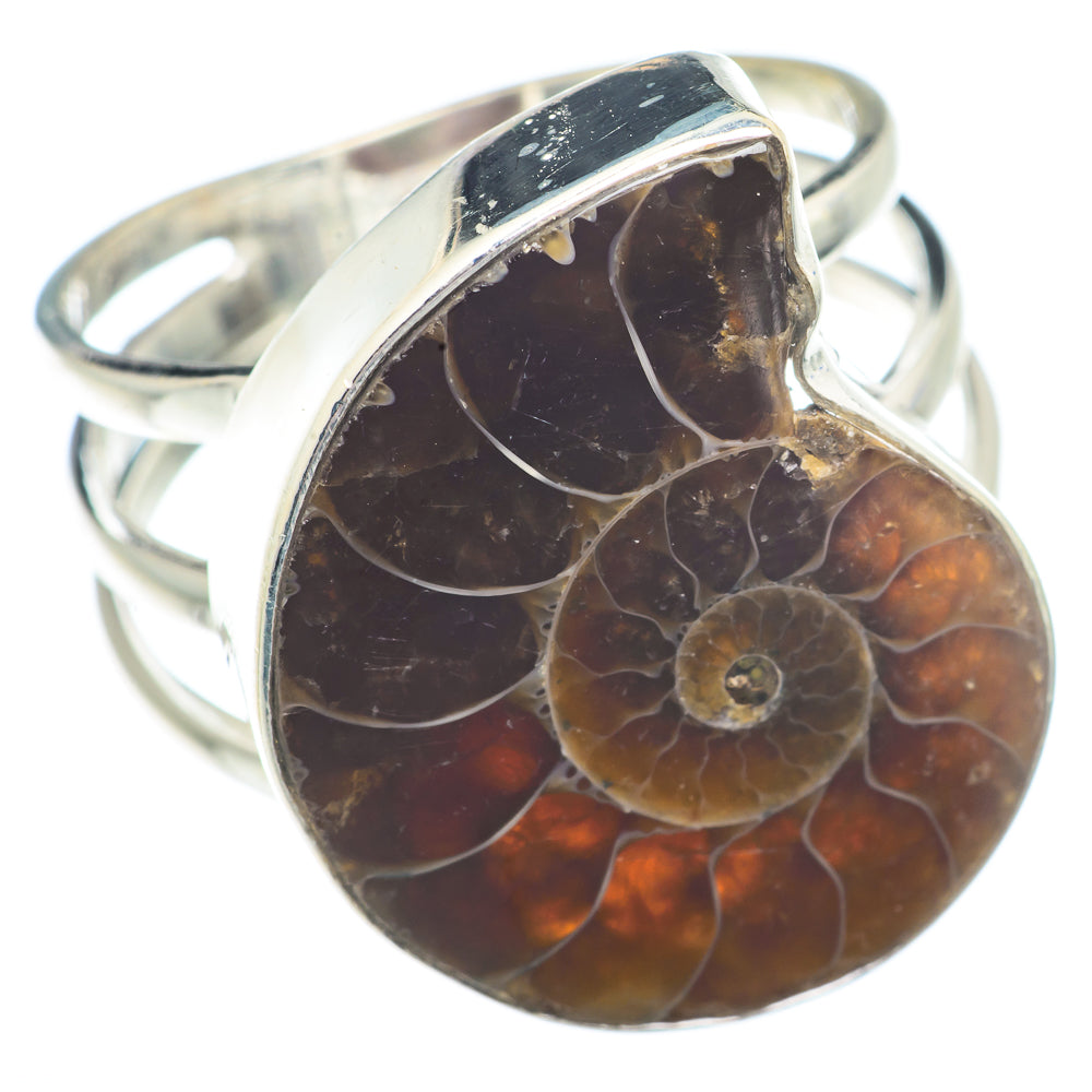 Ammonite Fossil Rings handcrafted by Ana Silver Co - RING73764